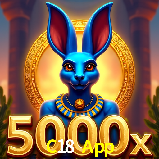 Login Seguro C18 App